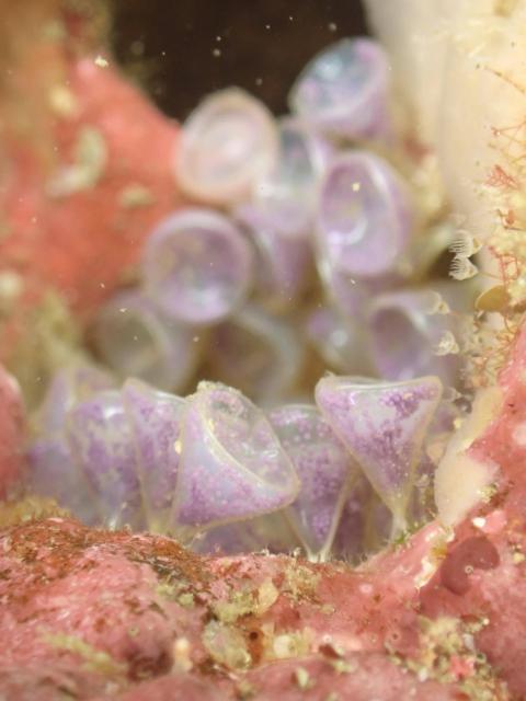 透視度に差がありすぎ！！