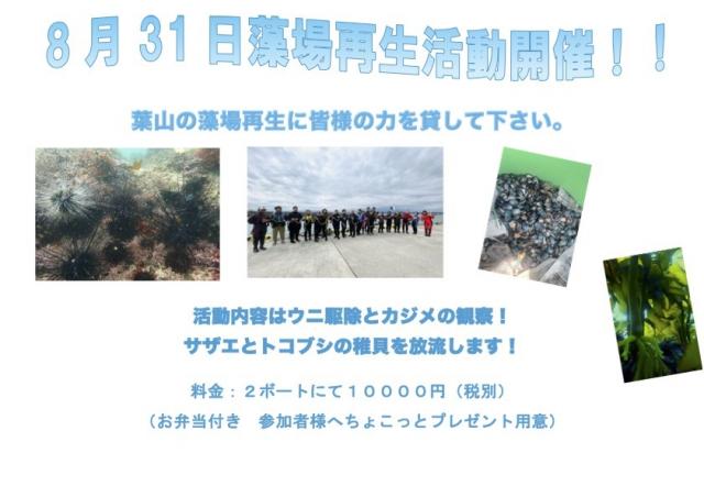 透視度に差がありすぎ！！