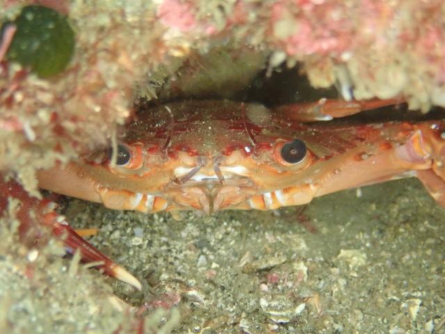 透視度に差がありすぎ！！