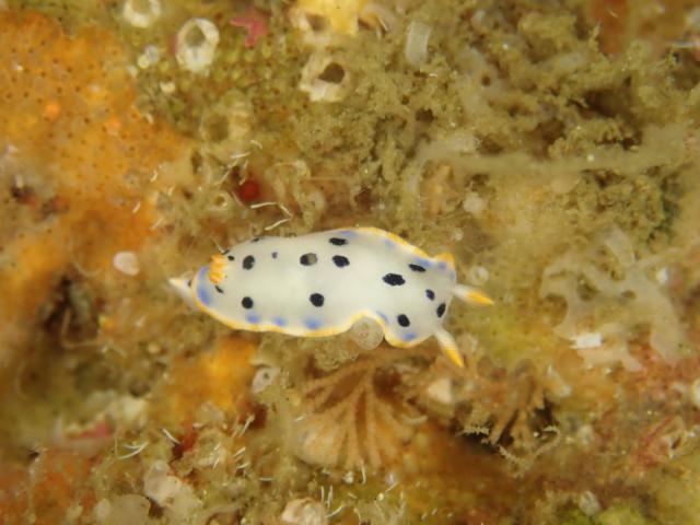 透視度に差がありすぎ！！