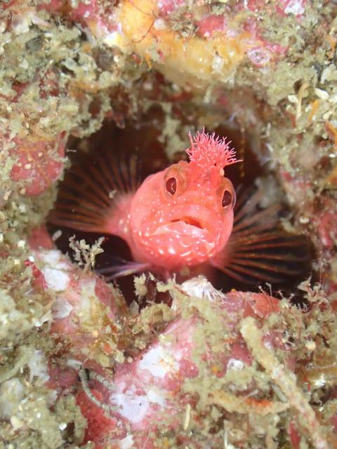 透視度に差がありすぎ！！