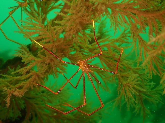 透視度に差がありすぎ！！