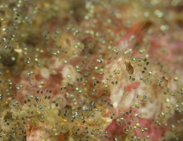 ２本充実ダイビング！！