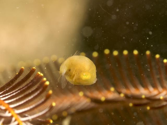 ２本充実ダイビング！！