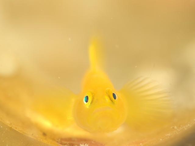 ２本充実ダイビング！！