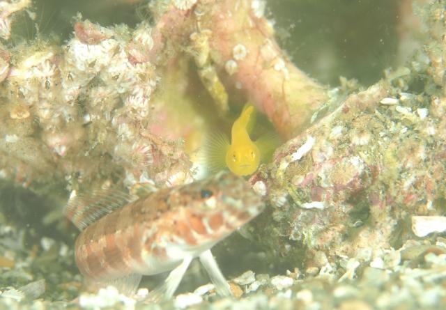 ２本充実ダイビング！！