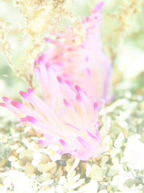 ２本充実ダイビング！！