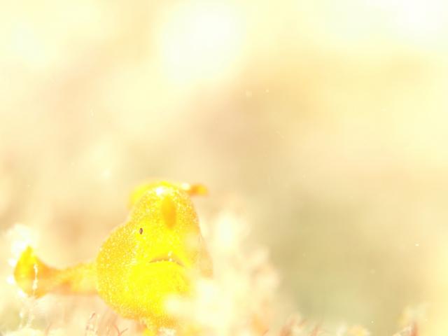 ２本充実ダイビング！！