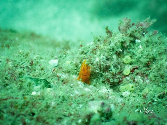 ２本充実ダイビング！！