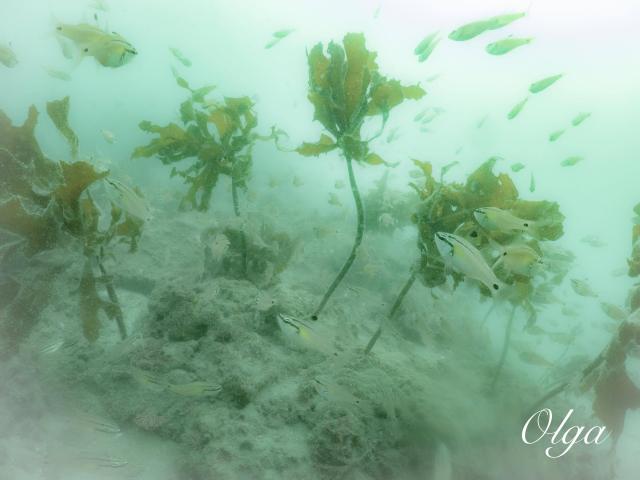 ２本充実ダイビング！！