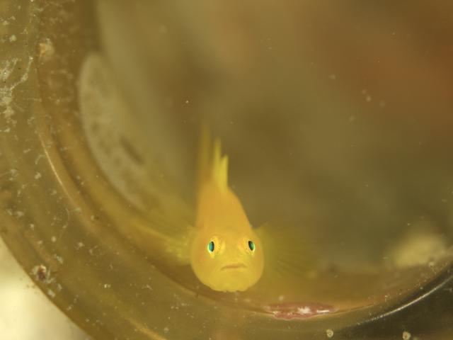 ２本充実ダイビング！！