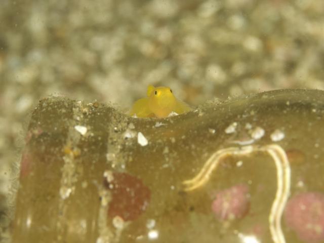 ２本充実ダイビング！！