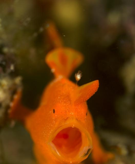 ２本充実ダイビング！！