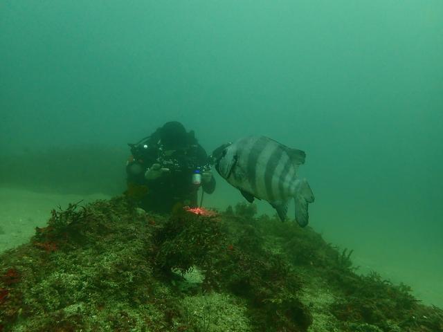 可愛いゲストが登場！！