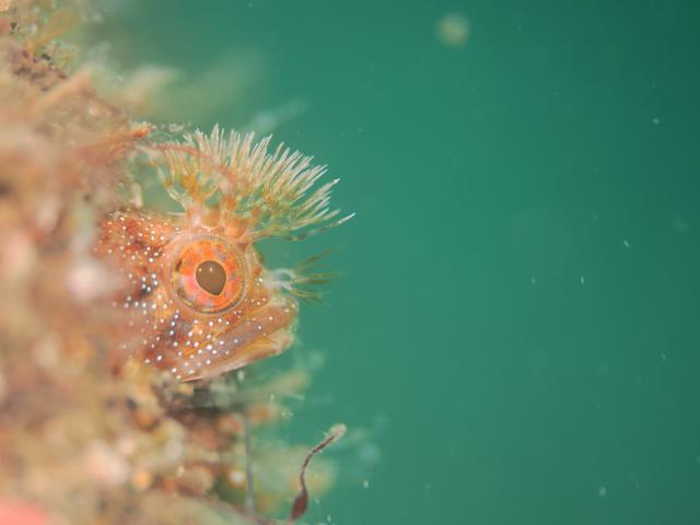 お盆スタート！！お誕生日＆６００本