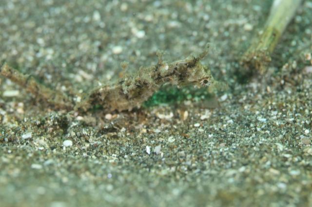 お盆スタート！！お誕生日＆６００本