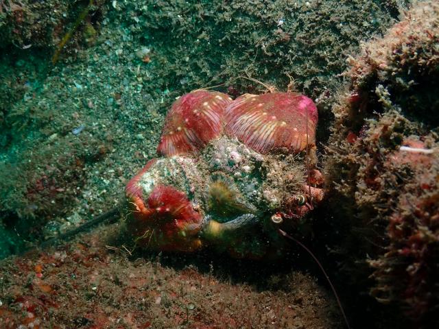 お盆スタート！！お誕生日＆６００本