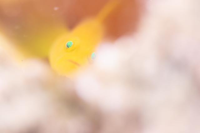 お盆スタート！！お誕生日＆６００本