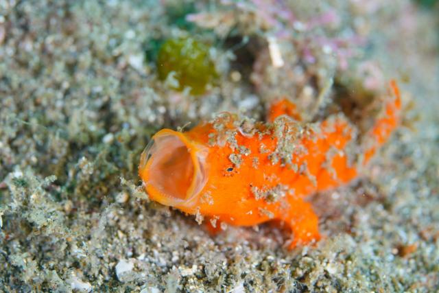 お盆スタート！！お誕生日＆６００本