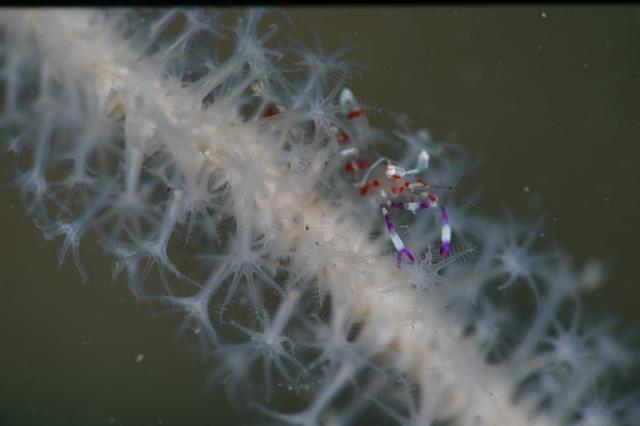 お盆スタート！！お誕生日＆６００本