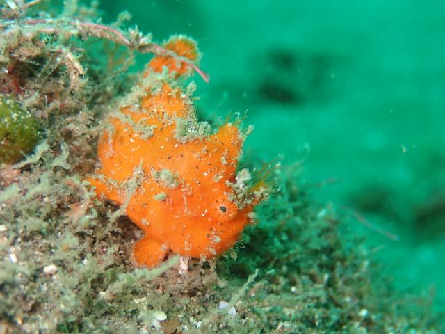 お盆スタート！！お誕生日＆６００本