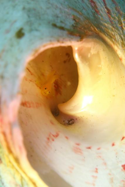 お盆スタート！！お誕生日＆６００本