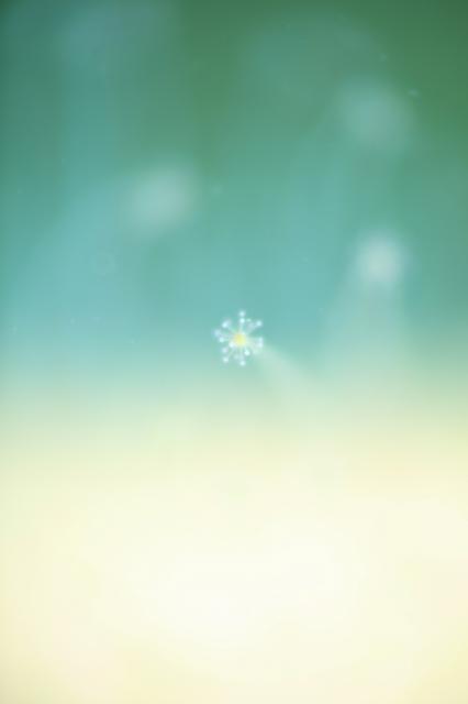 お盆スタート！！お誕生日＆６００本