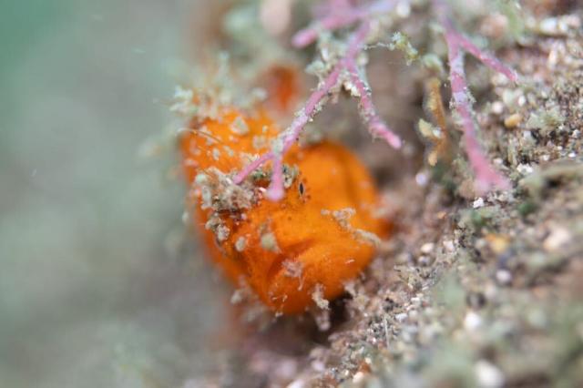 お盆スタート！！お誕生日＆６００本