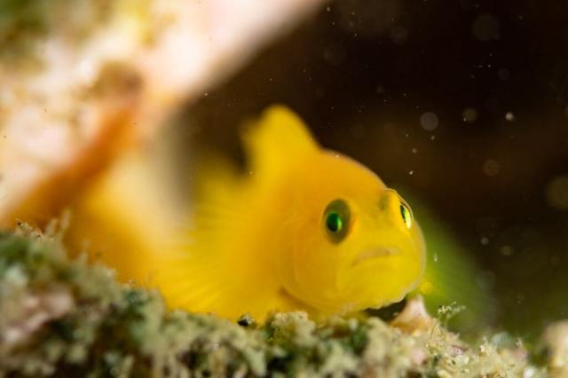 お盆スタート！！お誕生日＆６００本