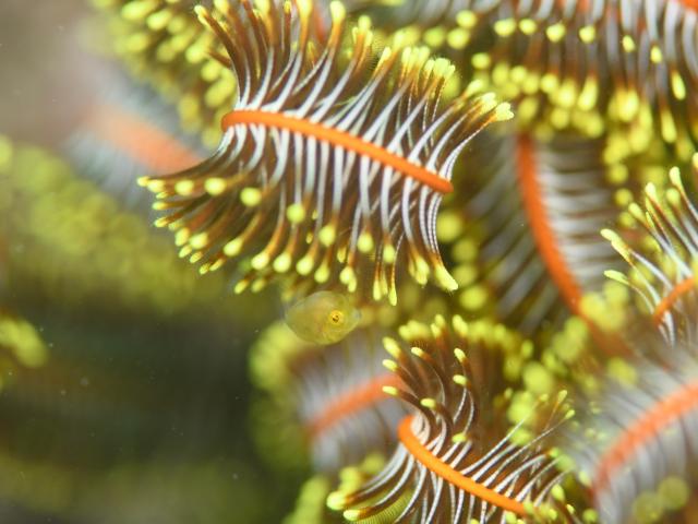 お盆スタート！！お誕生日＆６００本