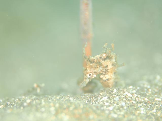 お盆スタート！！お誕生日＆６００本