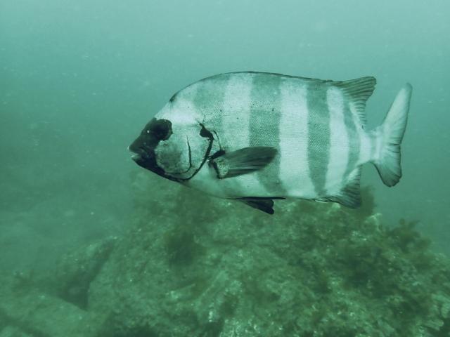 台風の影響なく！無事エントリー！！