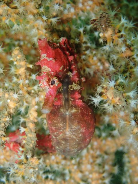 台風の影響なく！無事エントリー！！