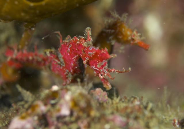 台風の影響なく！無事エントリー！！