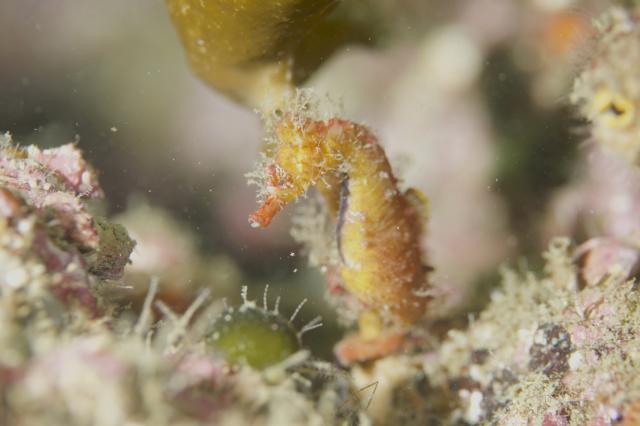 台風の影響なく！無事エントリー！！