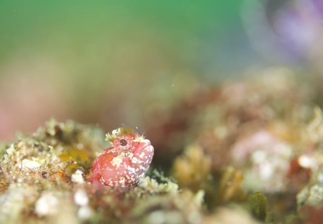 台風の影響なく！無事エントリー！！