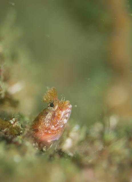 台風の影響なく！無事エントリー！！