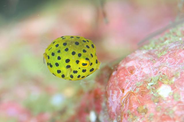 少しウネリが入ってましたが、問題なしですね〜！！