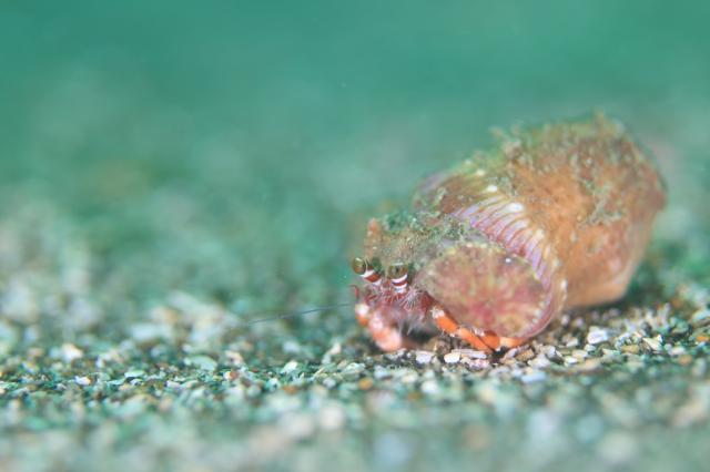 少しウネリが入ってましたが、問題なしですね〜！！