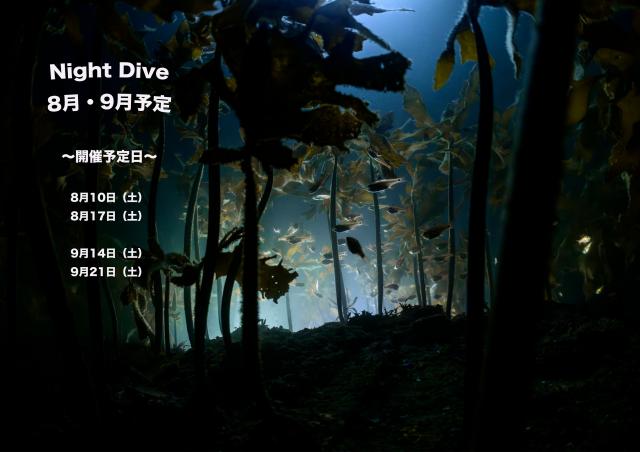 少しウネリが入ってましたが、問題なしですね〜！！