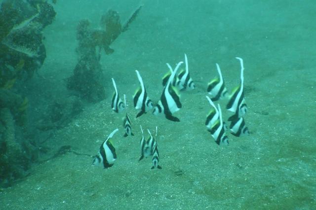 少しウネリが入ってましたが、問題なしですね〜！！