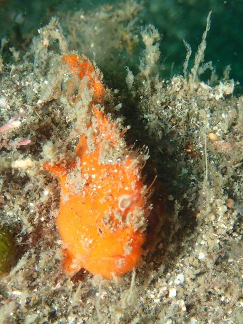 少しウネリが入ってましたが、問題なしですね〜！！