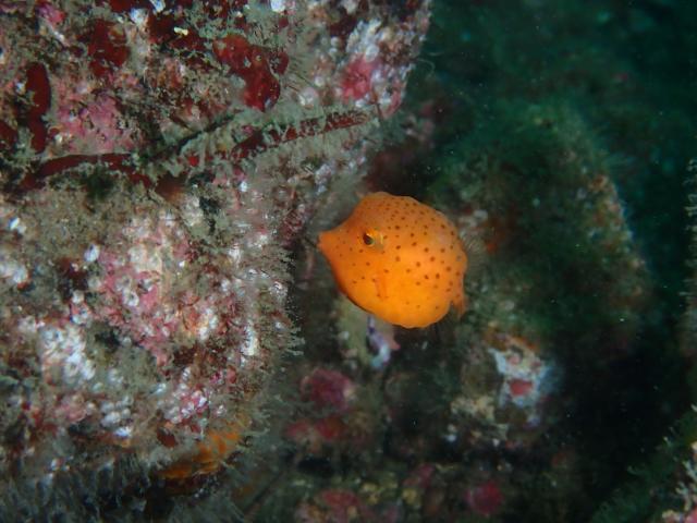 少しウネリが入ってましたが、問題なしですね〜！！