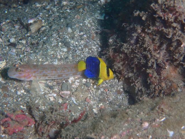 少しウネリが入ってましたが、問題なしですね〜！！