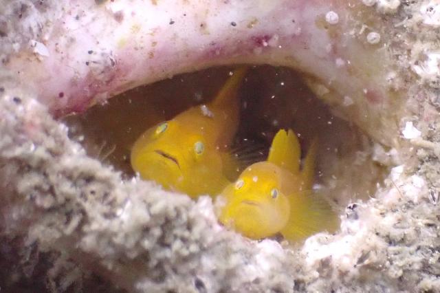 少しウネリが入ってましたが、問題なしですね〜！！