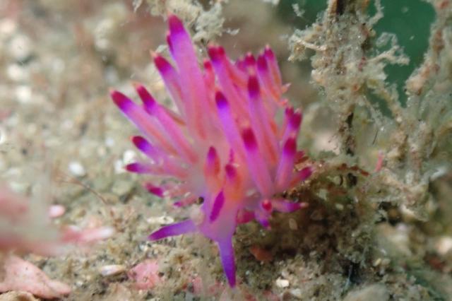 少しウネリが入ってましたが、問題なしですね〜！！