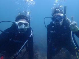 色々なチームでダイビング