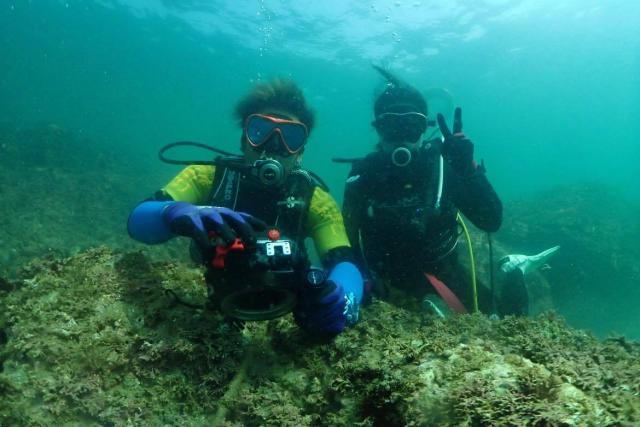 色々なチームでダイビング