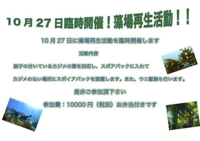 若干水温落ちました…