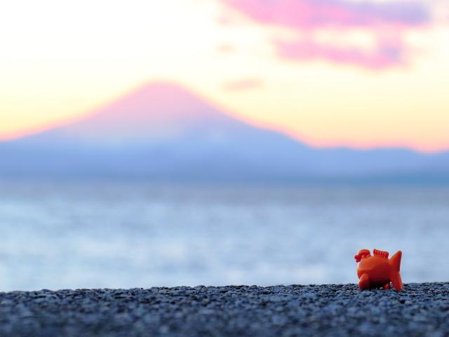 年末年始お休み及び冬休みのお知らせ